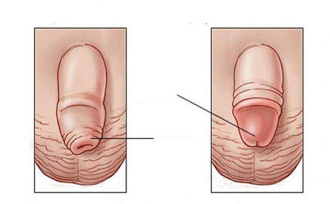 Which task makes lubricants